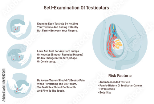 Testicles self exam. Testicle cancer symptoms awareness and monthly photo