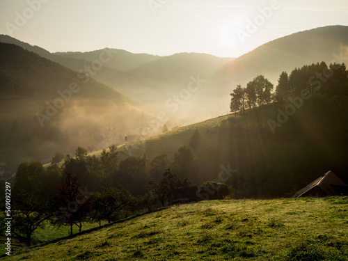 Scenic view of mountain, trees and meadow in the Black Forest, Yach, Elzach, Baden-Württemberg, Germany