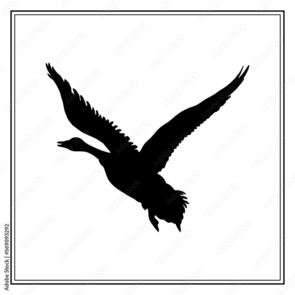 Obraz premium Canada goose. Flying bird. The bird silhouette. Vector illustration on a white background.