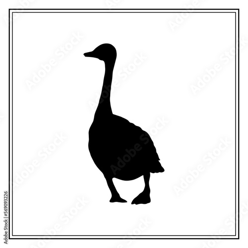 Canada goose. The bird is moving backwards. The black silhouette. Vector illustration on a white background.