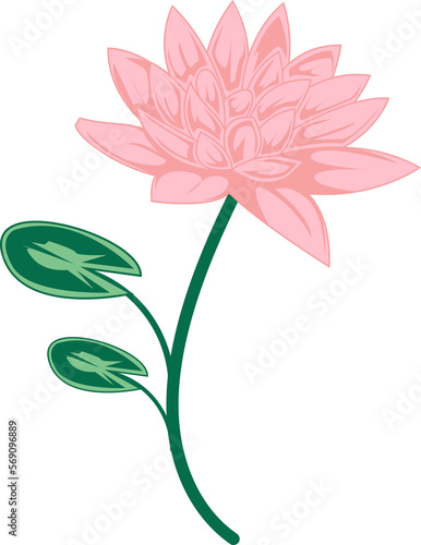 july birth month flower, water lily illustration for wall art, packaging, label, poster, card, invitation