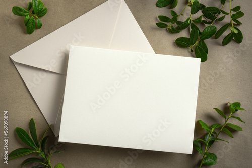 blank card and green plants