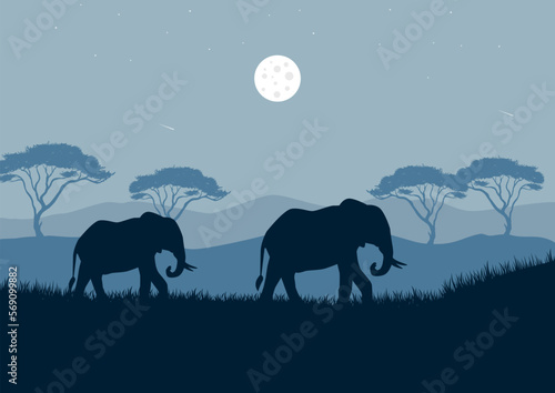 Elephants in the savannah at night. Vector illustration.