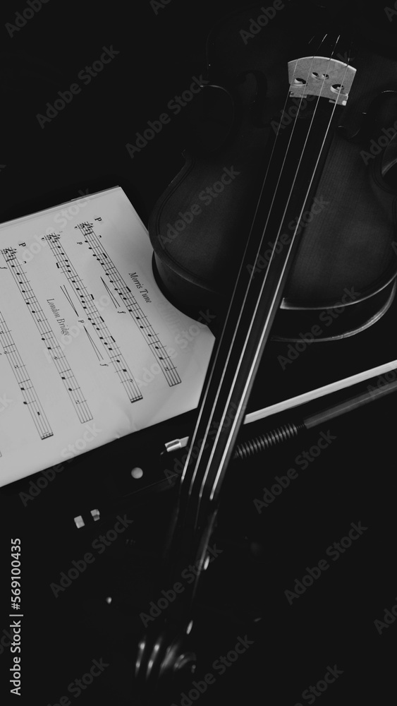 Fototapeta premium Learning the violin with book & bow