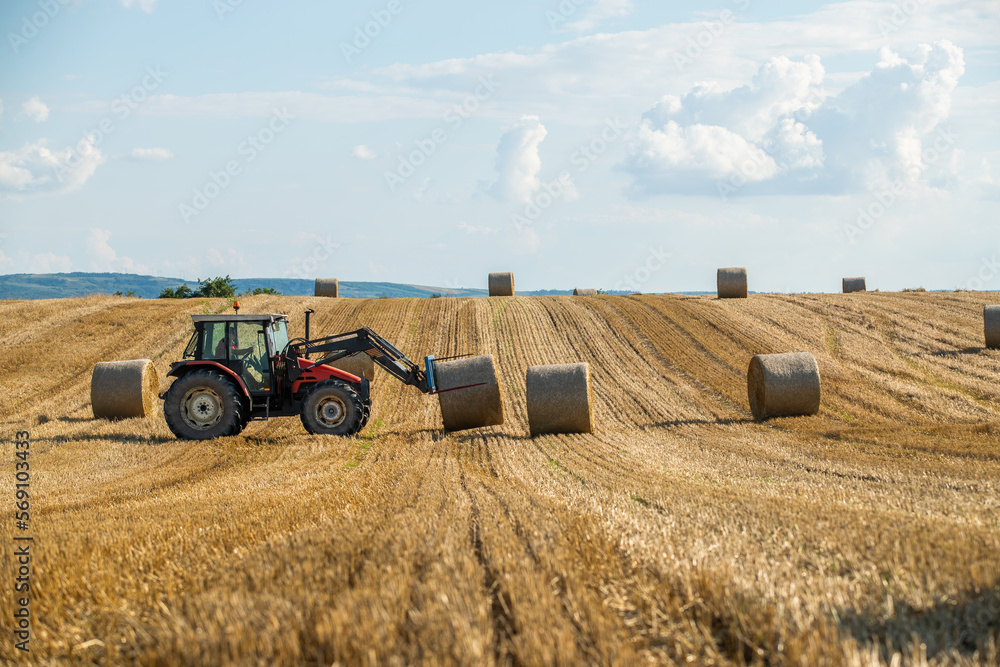 Fototapeta premium Golden fields, bales of wheat rolling through the landscape like a sea of treasure as the sun sets on another day of hard work