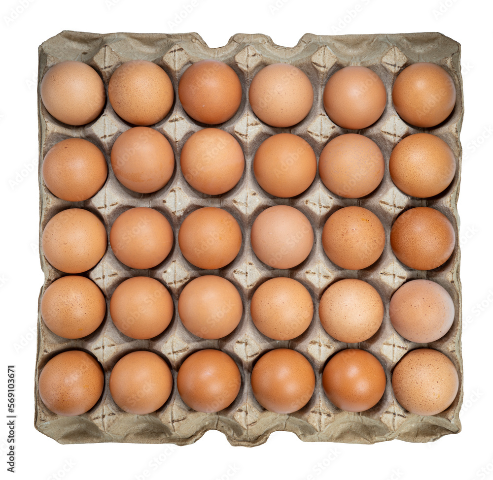 Dozen chicken  eggs in carton box on white background, Eggs in cardboard box on White PNG File.