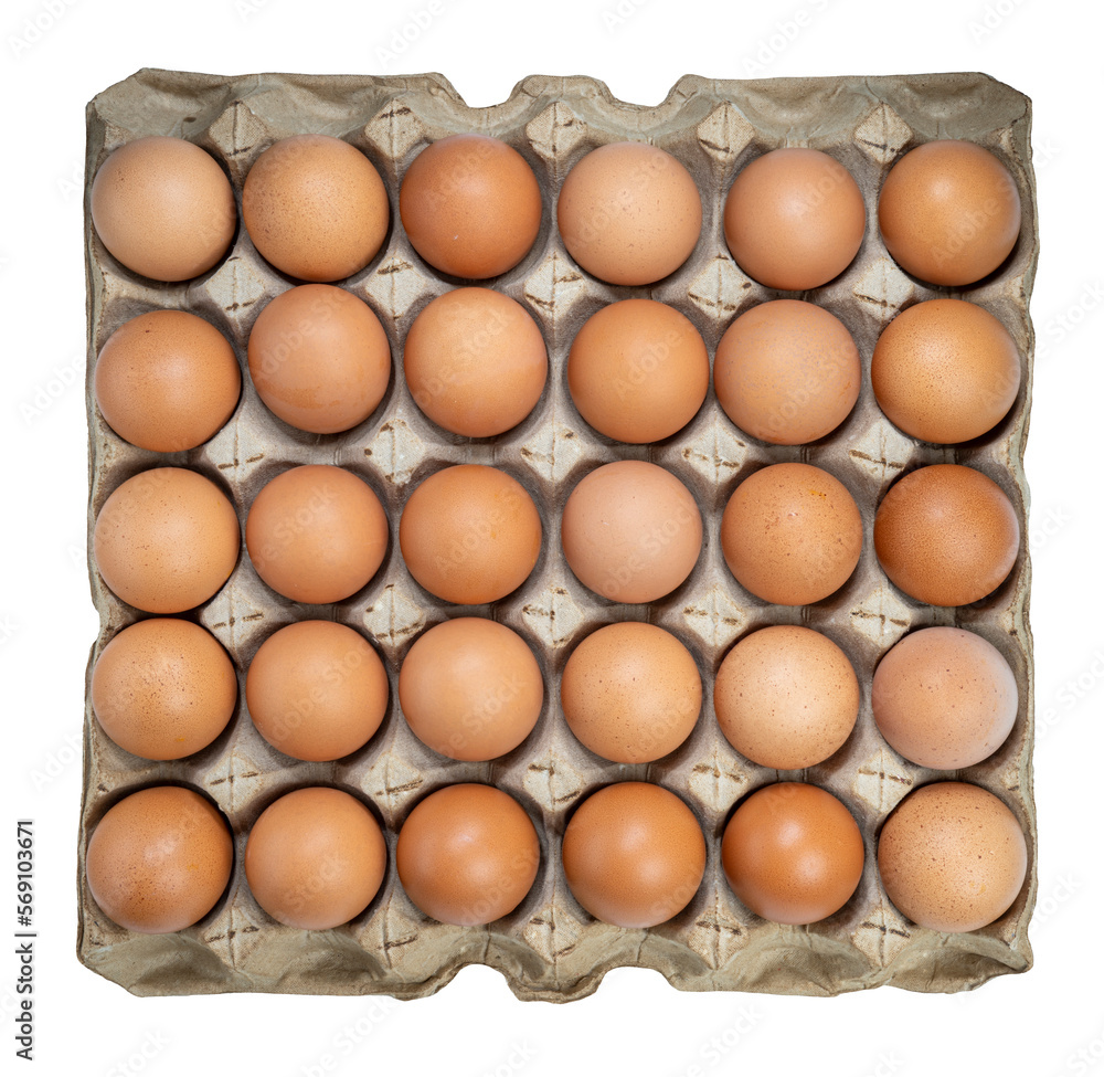 Dozen chicken eggs in carton box on white background, Eggs in cardboard box on White PNG File. Dozen chicken eggs in carton box on white background, Eggs in cardboard box on White PNG File.