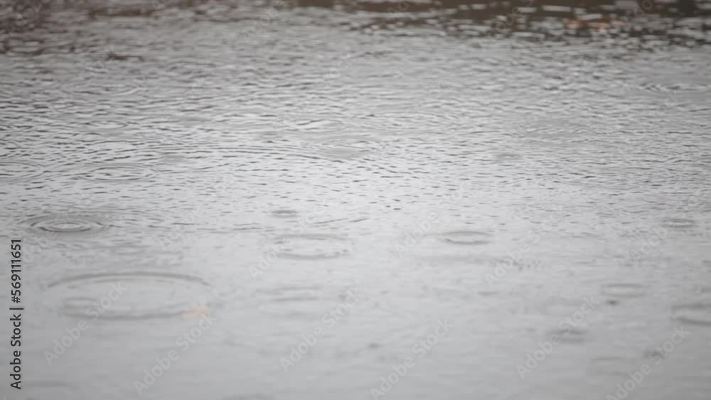 Lockdown shot of raindrops falling in lake during rainy season Lockdown shot of raindrops falling in lake during rainy season