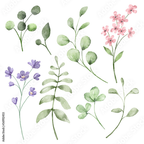 Flowers and leaves, watercolor digital illustration, wildflowers and leaf perfectly for printing, sublimation.