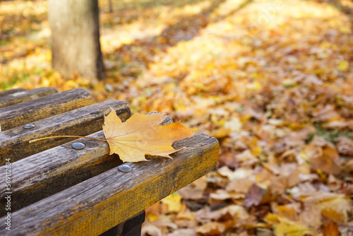 Yellow maple leaf on wooden...
