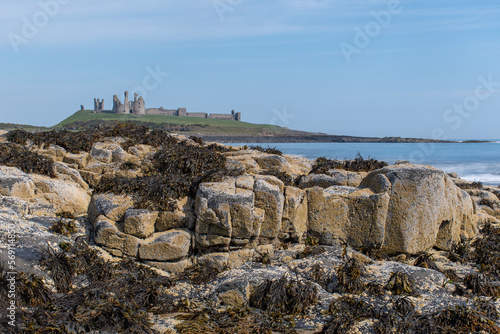Focus on rocky limestone beach on the coastal path between the Northumberland villages of Craster and Embleton. Dunstanburgh Castle in the background