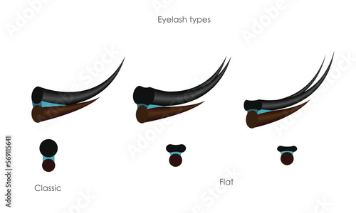 Types of eyelash extensions, vector realistic