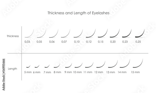 length and thickness of eyelash extensions, vector realistic