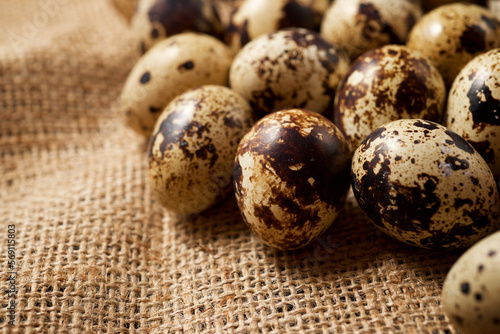 Close-up of some quail eggs.
