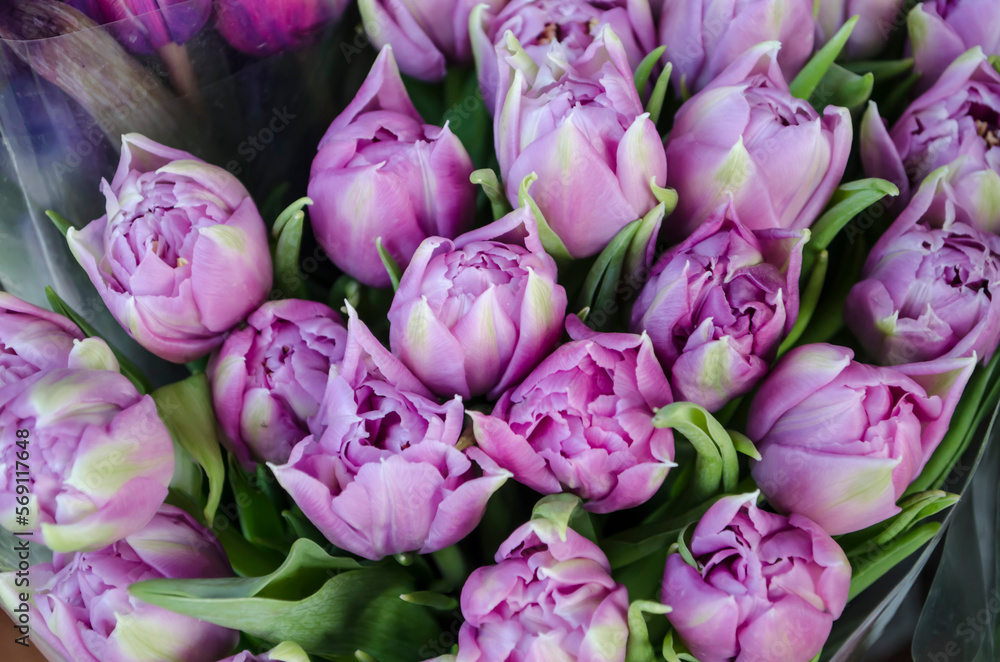Bouquet of fresh violet tulips on a light blurred background.