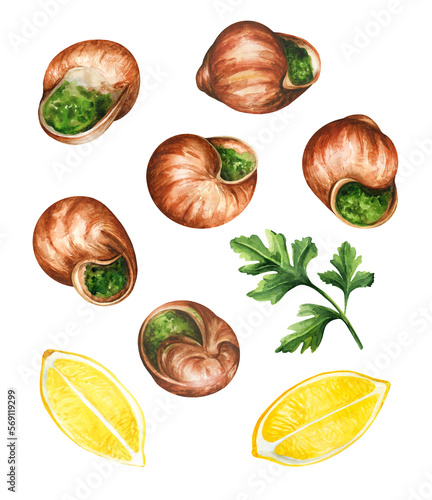 Escargot (snails) on white background. Watercolor illustration