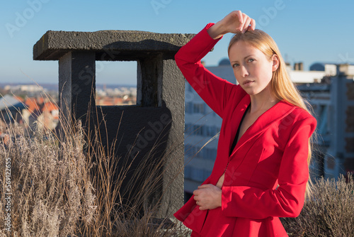 portrait of a classy woman photo