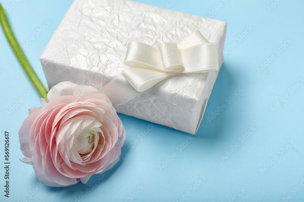 Beautiful ranunculus flower and gift for Women's Day celebration on blue background Beautiful ranunculus flower and gift for Women's Day celebration on blue background