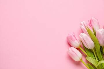 Bouquet of beautiful tulip flowers on pink background