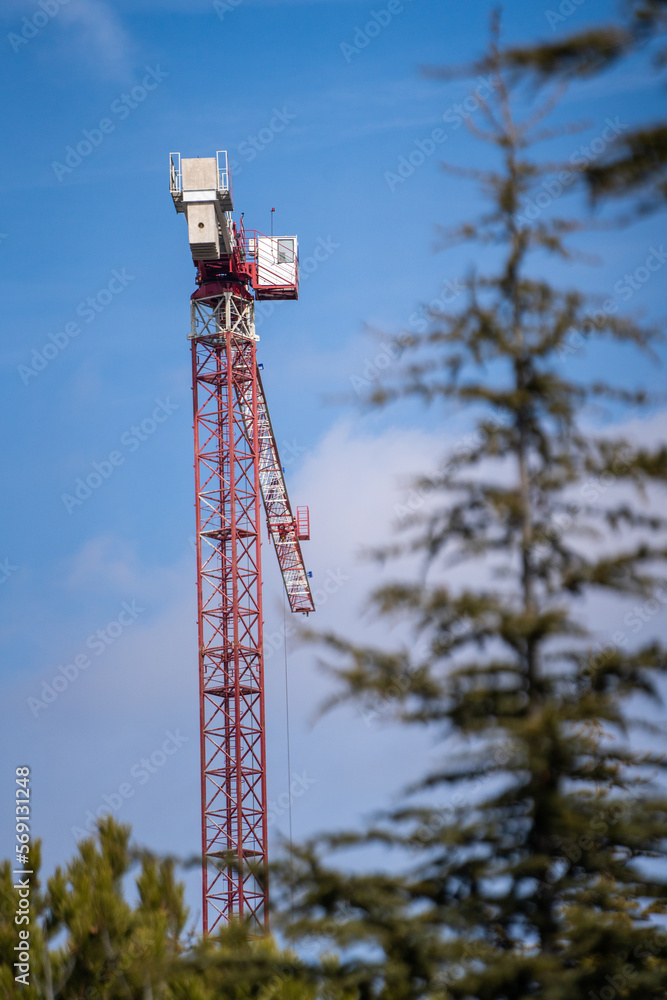 Crane and sky through the trees vertical Crane and sky through the trees vertical