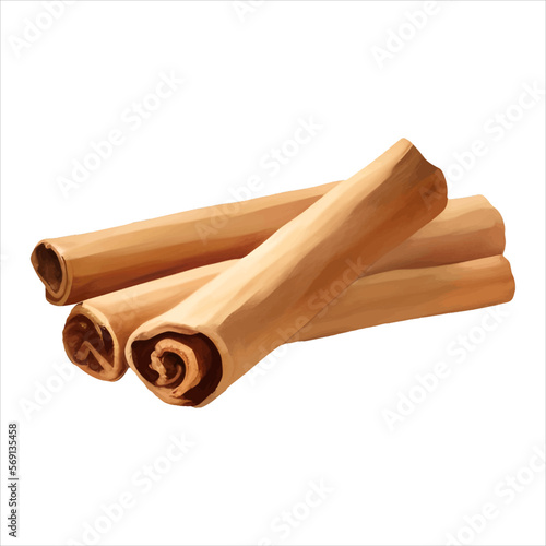 Cinnamon Sticks Isolated Detailed Hand Drawn Painting Illustration