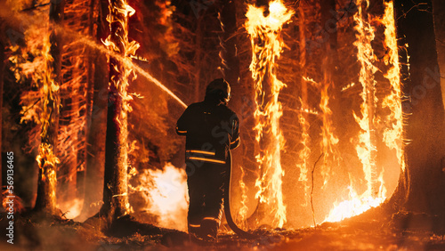 Experienced Firefighter Extinguishing a Wildland Fire Deep in the Woods. Professional in Safety Uniform and Helmet Spraying Water to Fight Large Flames Spreading Through Trees.