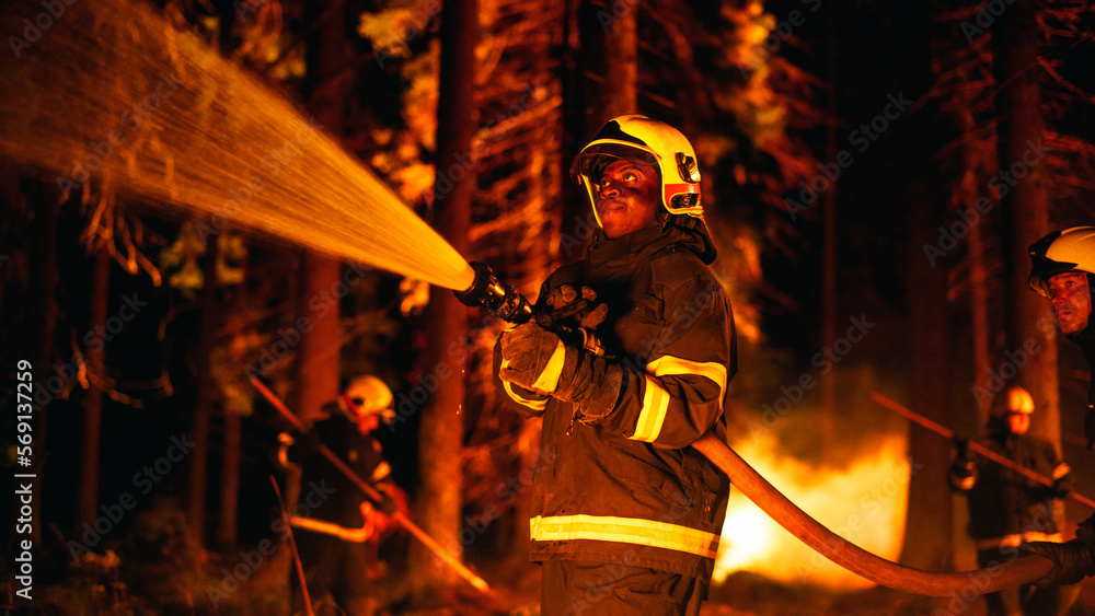 Naklejka premium Portrait of a Handsome African American Firefighter Methodically Extinguishing a Forest Fire with the Help of a Fire Hose. Firemen Brigade Rescuing Wildland from Uncontrollable Arson.