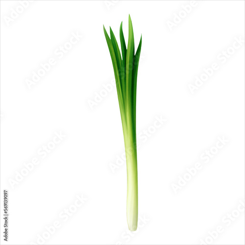 Spring Onion Isolated Detailed Hand Drawn Painting Illustration