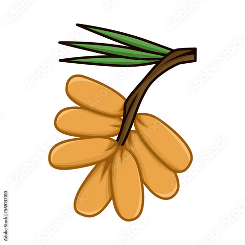 Illustration of dates from Arabic, which are usually eaten in the month of Ramadan