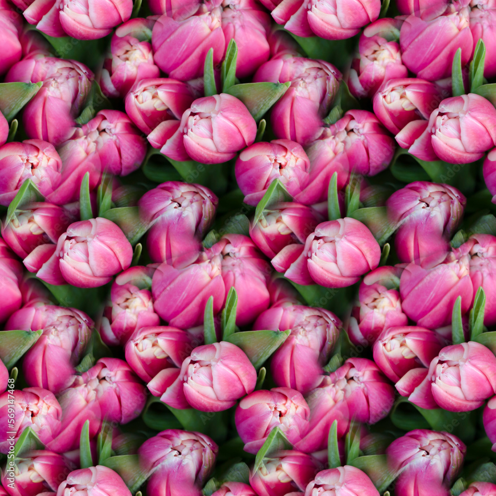 Seamless pattern with beautiful spring tulip flowers. Seamless pattern with beautiful spring tulip flowers.