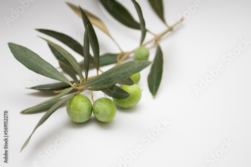 Green olives on with leaves on white background