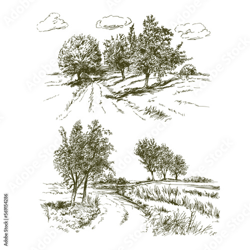 Rural landscape, meadows and trees.