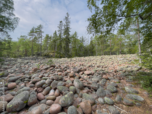 Geröllfeld im Nationalpark Skuleskogen im Gebiet der  Höga Kusten in Schweden