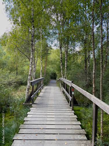 Wanderweg im Store Mosse Nationalpark in Sm  land  Schweden