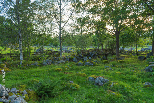 Naturreservat Krokshult in Småland, Schweden