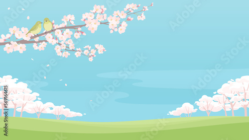 メジロがいる桜の木のイラスト　春の青空を背景にした満開の桜と緑の丘の風景