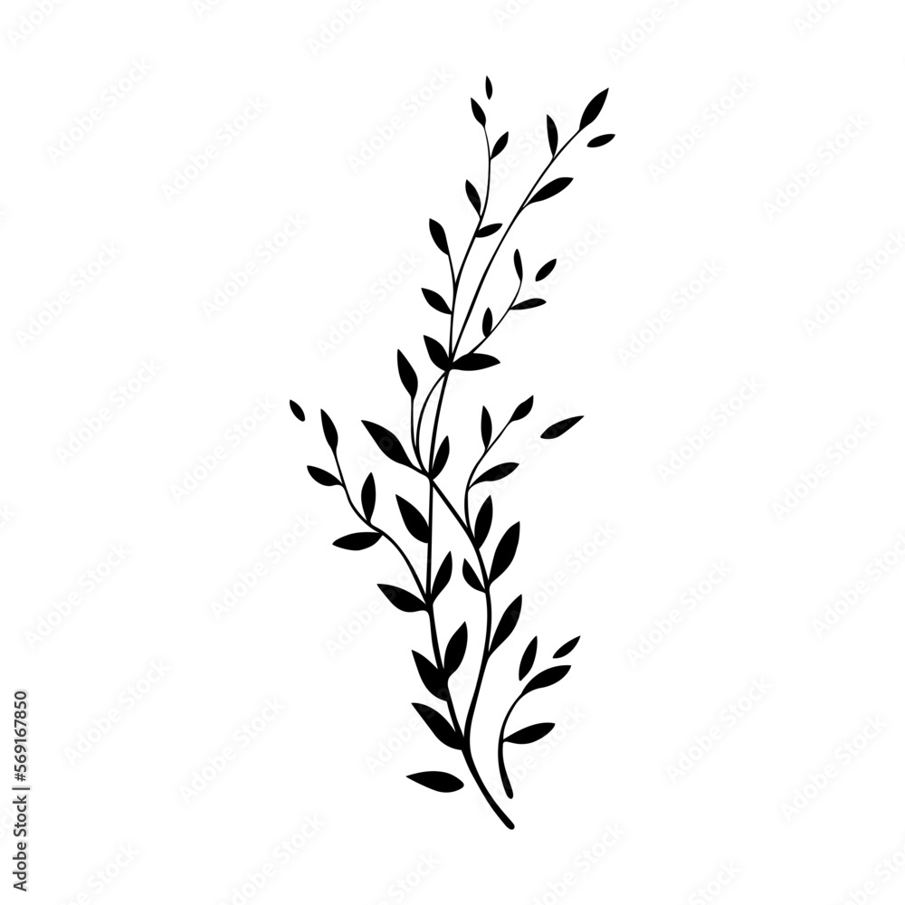Vector leaves isolated on white background. Decorative botanical elements for greeting cards, wedding invitations, logo, stationery, textile