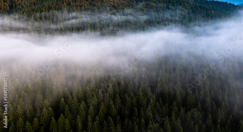 Amazing foggy sunrise landscape. Aerial view with clouds over a forest in beautiful warm light. Landscapes of Romania. © Dragoș Asaftei