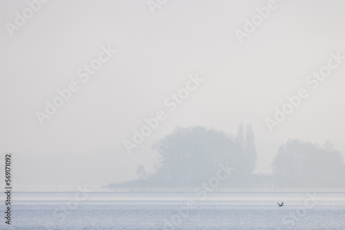 See Ufer bei Nebel am morgen, Hochnebel