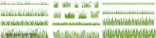 Cartoon grass leaves. Tuft of green meadow grass, lawn herb silhouette dividers and natural spring garden vegetation vector set