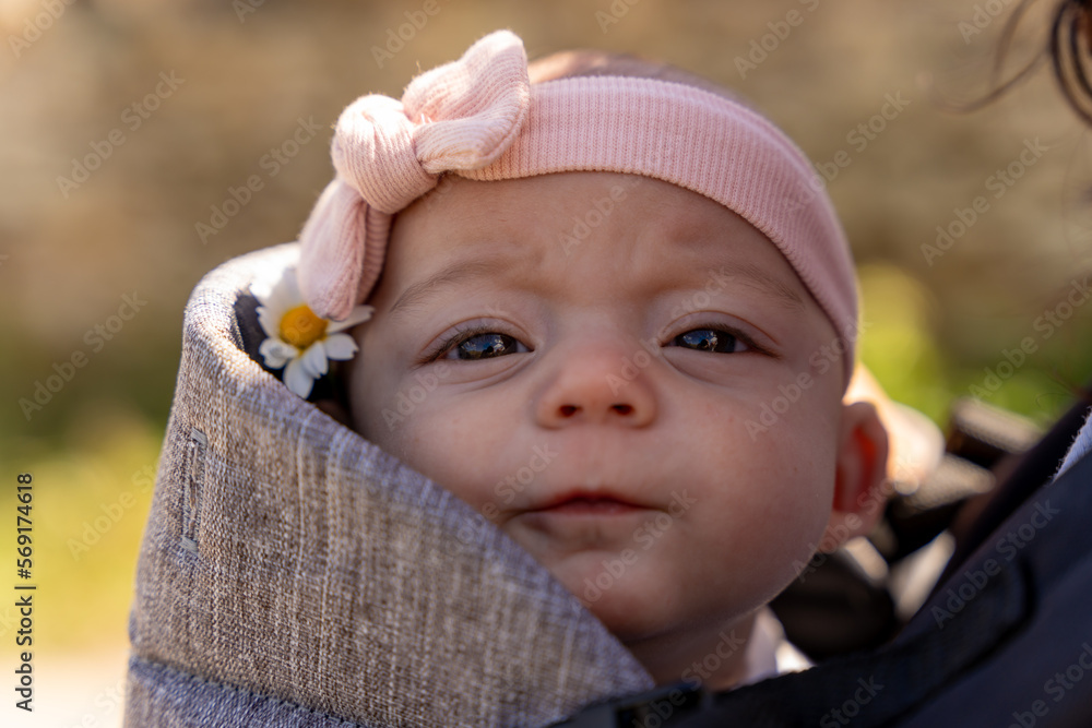 beautiful baby with a pink bow on her head and a small daisy in her ear being carried by her mother with an ergonomic baby carrier backpack. baby care and transportation concept beautiful baby with a pink bow on her head and a small daisy in her ear being carried by her mother with an ergonomic baby carrier backpack. baby care and transportation concept