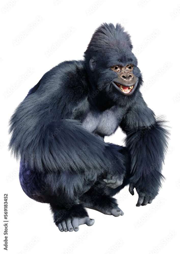 3D Rendering Black Gorilla Ape on White 3D Rendering Black Gorilla Ape on White