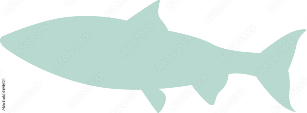Shark shape flat icon Marine animal silhouette Shark shape flat icon Marine animal silhouette