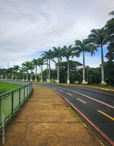 Walking morning at the park