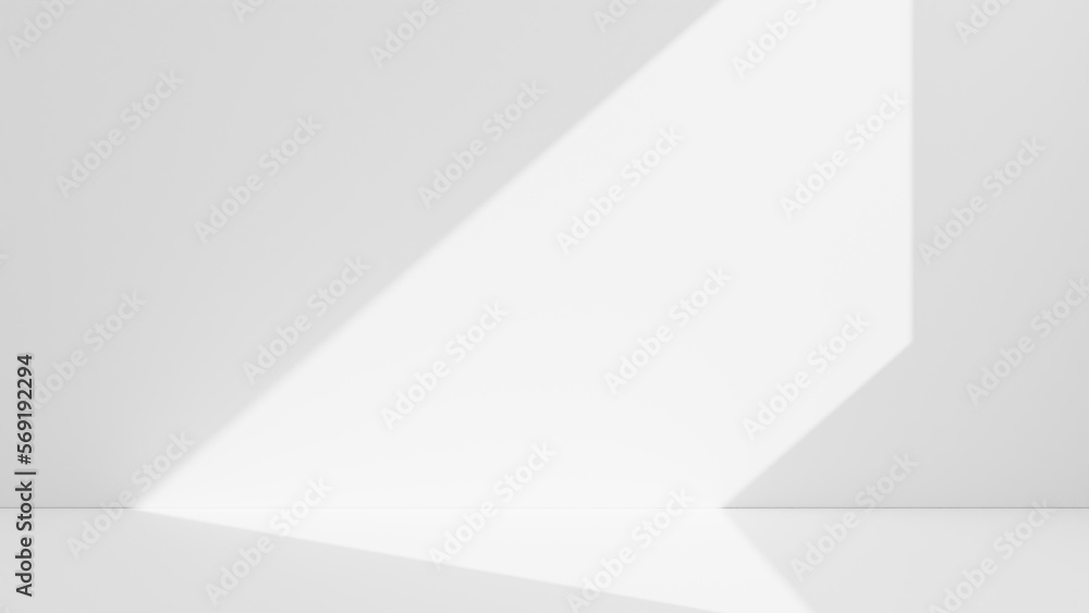 Abstract white studio background for product presentation. Empty room with shadows of window. Display product with blurred backdrop. Abstract white studio background for product presentation. Empty room with shadows of window. Display product with blurred backdrop.