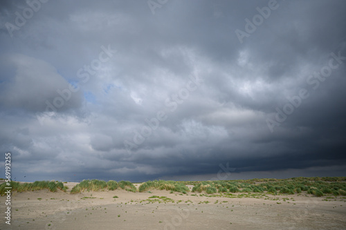 Dark cloud gathering over dutch dunes with European Marram Grass.