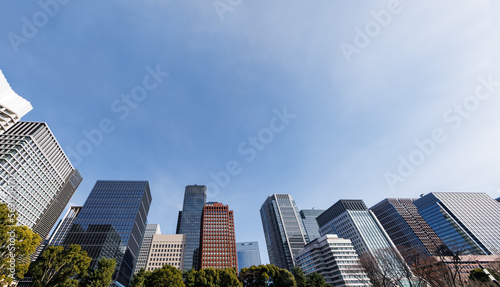 太陽の光が綺麗な東京のビル群