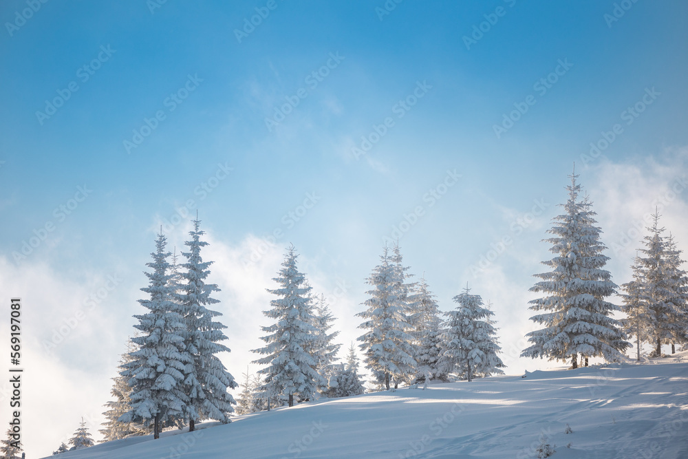 mountain landscape in the winter