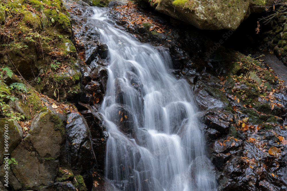 Fototapeta premium 白猪の滝