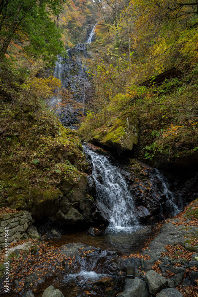 Obraz premium 白猪の滝